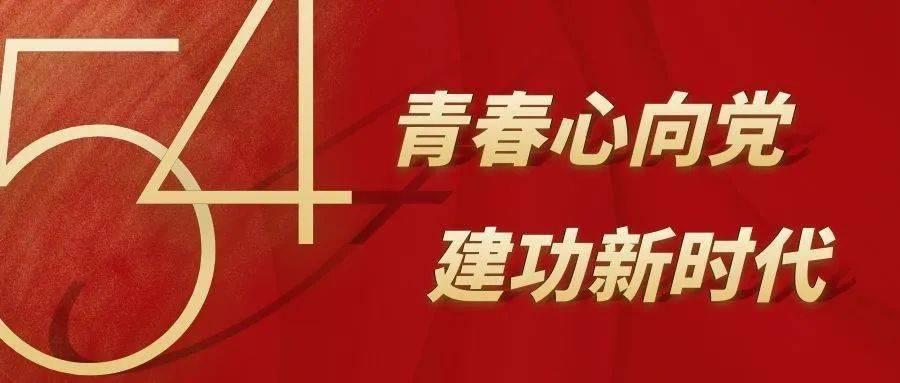 美妙森林找不同