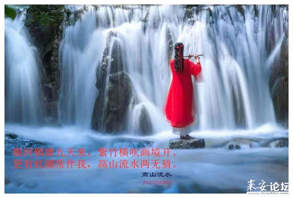狗狗物品记忆卡