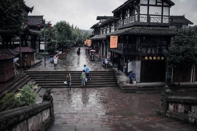 小仓鼠吃瓜子
