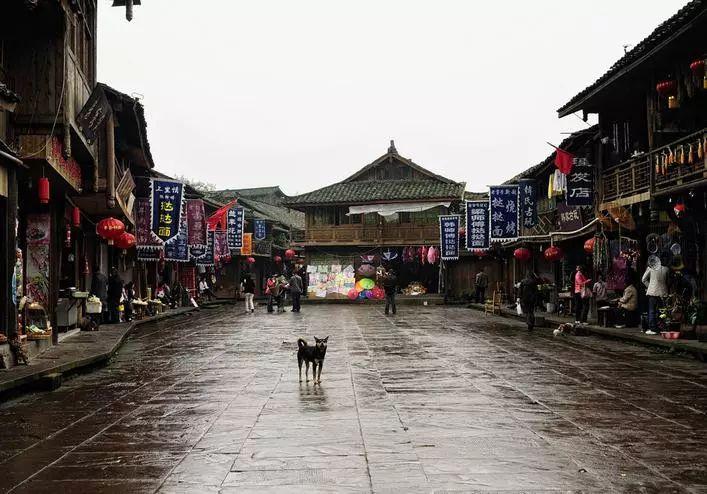 救援老画家