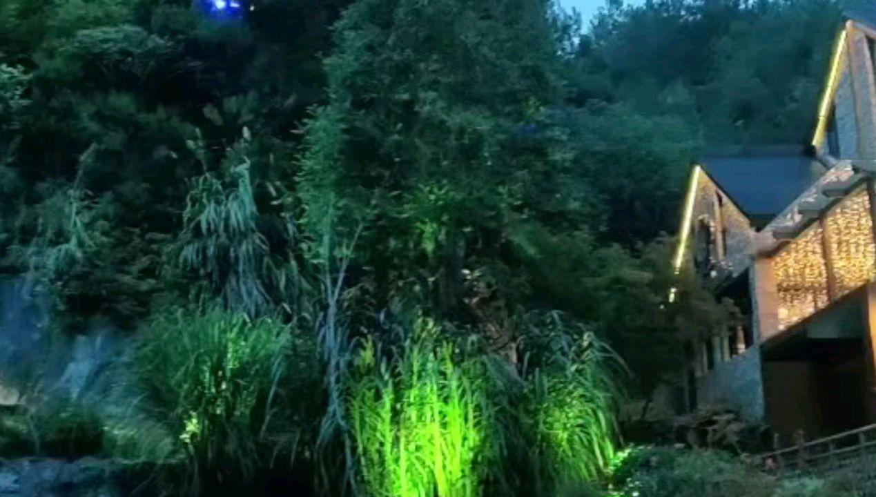 杀出重围人类分裂